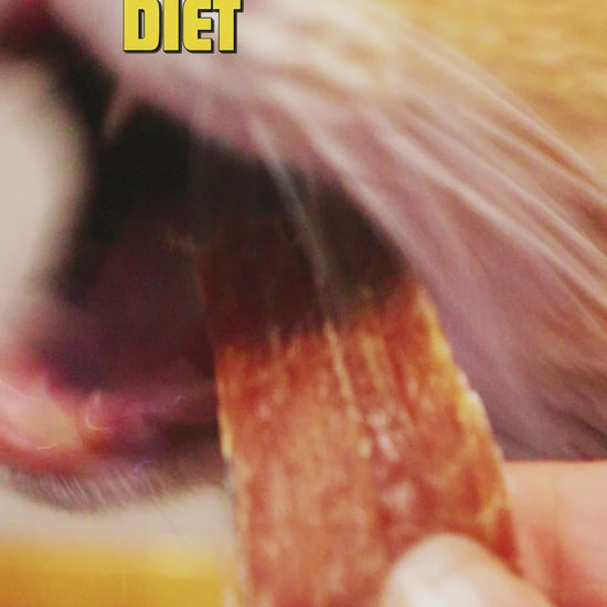 perro y gato comiendo snack de lomo de cerdo safelife diet